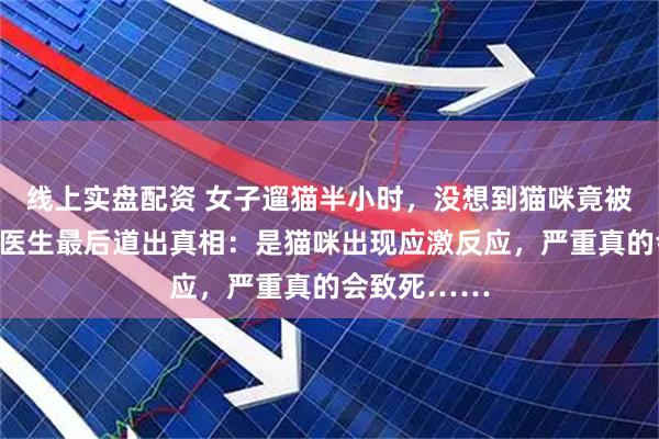 线上实盘配资 女子遛猫半小时，没想到猫咪竟被吓死了！！医生最后道出真相：是猫咪出现应激反应，严重真的会致死……